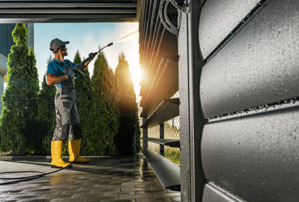 Best Graffiti Removal  in Scandia, MN